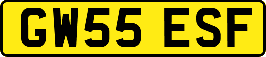 GW55ESF