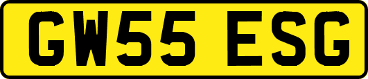 GW55ESG