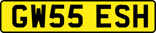 GW55ESH