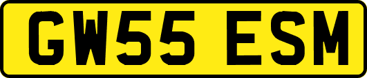 GW55ESM