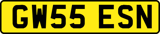 GW55ESN