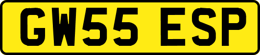 GW55ESP