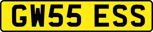 GW55ESS