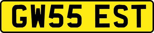 GW55EST