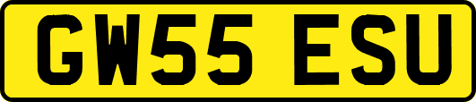 GW55ESU