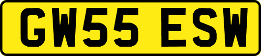 GW55ESW