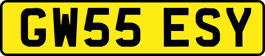GW55ESY