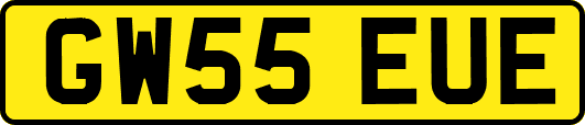GW55EUE