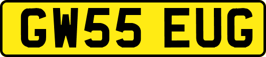 GW55EUG