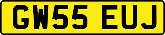 GW55EUJ