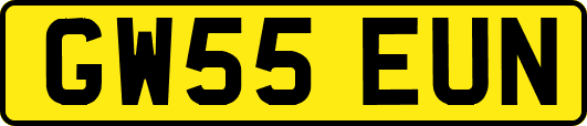 GW55EUN