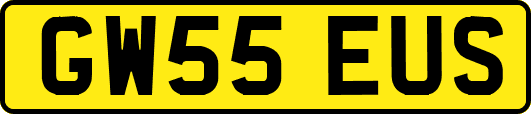 GW55EUS