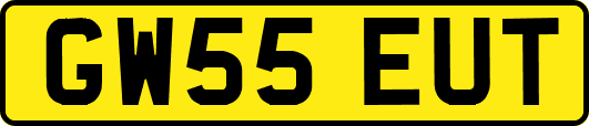 GW55EUT