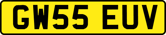GW55EUV