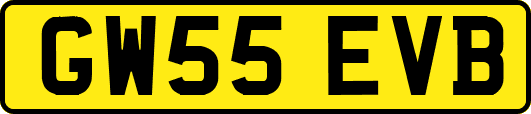 GW55EVB