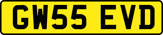 GW55EVD