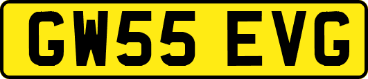GW55EVG