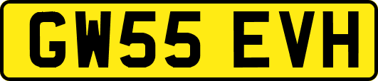 GW55EVH