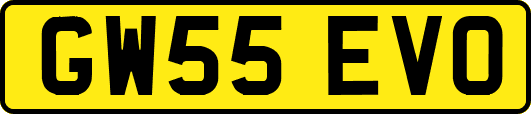 GW55EVO