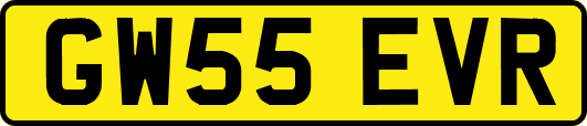 GW55EVR
