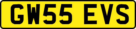 GW55EVS