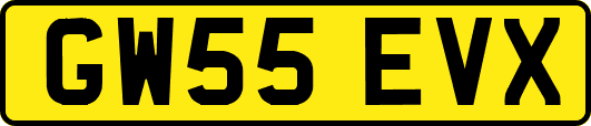 GW55EVX