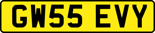 GW55EVY