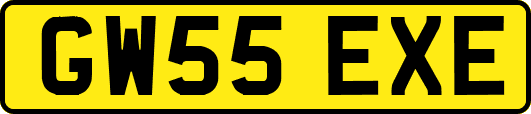 GW55EXE