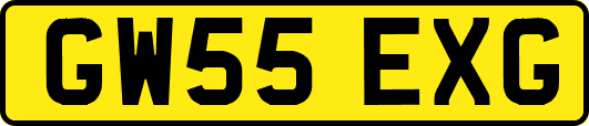 GW55EXG