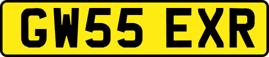GW55EXR