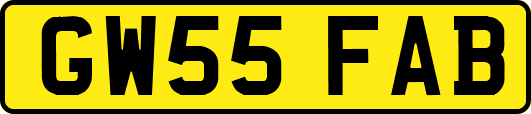 GW55FAB