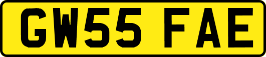 GW55FAE
