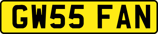 GW55FAN