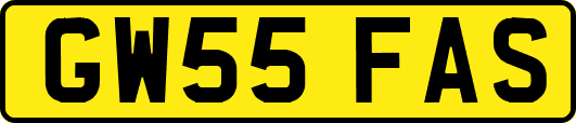 GW55FAS