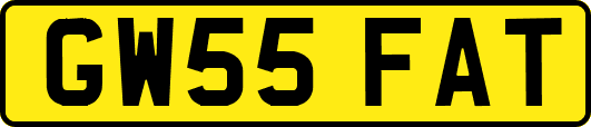 GW55FAT