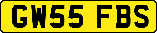 GW55FBS