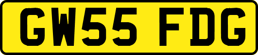 GW55FDG