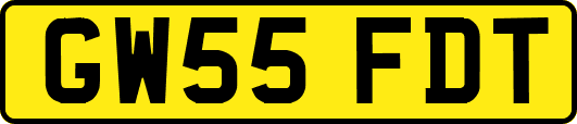 GW55FDT