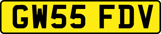 GW55FDV