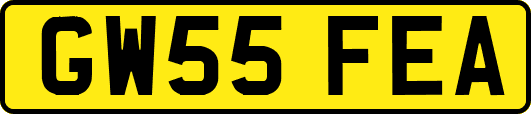 GW55FEA