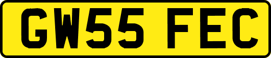 GW55FEC