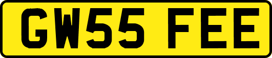 GW55FEE