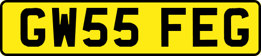 GW55FEG