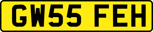 GW55FEH
