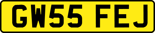 GW55FEJ