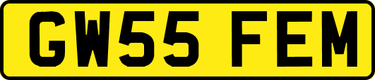 GW55FEM