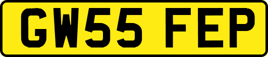 GW55FEP
