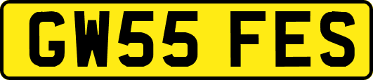GW55FES