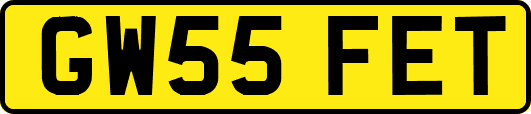GW55FET