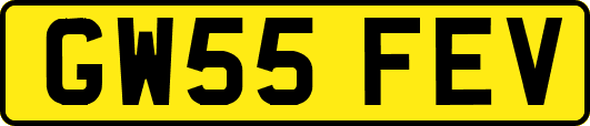 GW55FEV